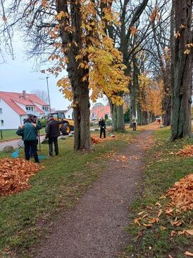 Laubsammelaktion in Sierksdorf